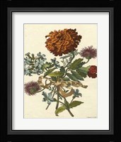 Floral Posy III Fine Art Print