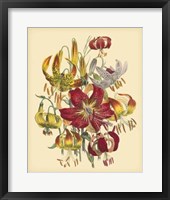 Garden Bouquet III Fine Art Print
