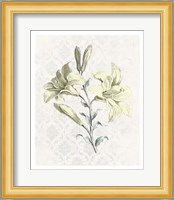 Victorian Blooms III Fine Art Print