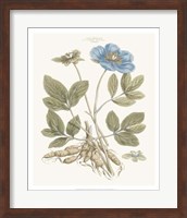 Bashful Blue Florals I Fine Art Print