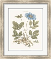 Bashful Blue Florals I Fine Art Print