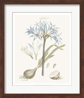 Bashful Blue Florals II Fine Art Print