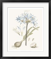 Bashful Blue Florals II Fine Art Print