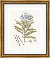 Bashful Blue Florals III Fine Art Print