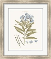 Bashful Blue Florals III Fine Art Print