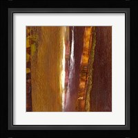 Forest I Fine Art Print