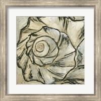 Seashell Spiral I Fine Art Print