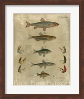 Pisces Composition I Fine Art Print