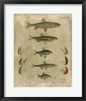 Pisces Composition I Fine Art Print