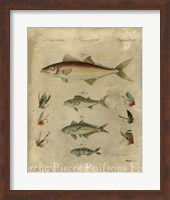 Pisces Composition II Fine Art Print