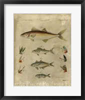 Pisces Composition II Fine Art Print