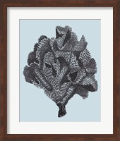 Coral on Aqua IV Fine Art Print