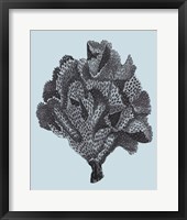 Coral on Aqua IV Fine Art Print