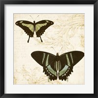 Jardin des Papillons II Framed Print