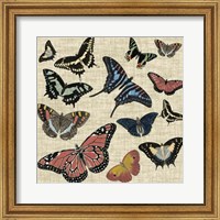 Butterflies & Linen I Fine Art Print