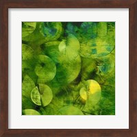 Nautilus in Green I Fine Art Print