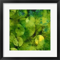 Nautilus in Green I Fine Art Print