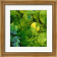 Nautilus in Green II Fine Art Print