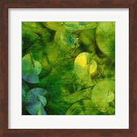 Nautilus in Green II Fine Art Print