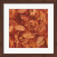Nautilus in Rust II Fine Art Print