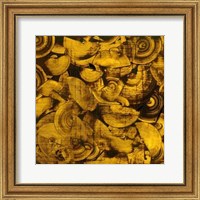 Nautilus in Gold I Fine Art Print