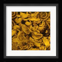 Nautilus in Gold I Framed Print