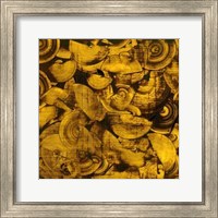 Nautilus in Gold I Fine Art Print