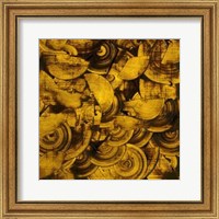 Nautilus in Gold II Fine Art Print