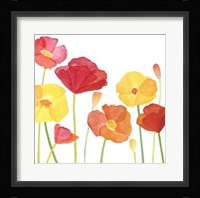 Simply Poppies I Framed Print