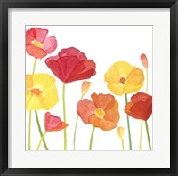 Simply Poppies I Fine Art Print