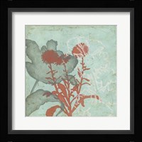 Trois Fleur I Framed Print