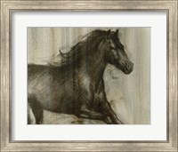 Dynamic Stallion I Fine Art Print