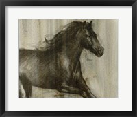 Dynamic Stallion I Fine Art Print