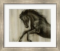 Dynamic Stallion II Fine Art Print
