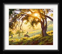Restful Radiance Fine Art Print
