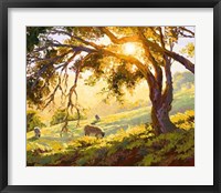 Restful Radiance Fine Art Print