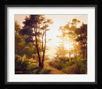 Gilded Pathway Fine Art Print