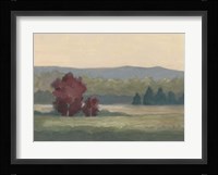 Morning Haze II Framed Print