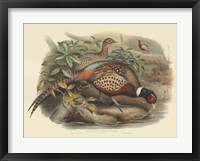 Pheasants I Fine Art Print