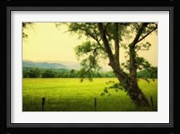 Morning at the Cove I Framed Print