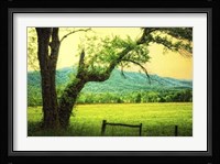 Morning at the Cove II Framed Print