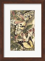Dancing Butterfly II Fine Art Print