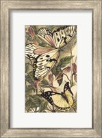 Dancing Butterfly II Fine Art Print