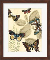 Graphic Butterflies in Nature I Fine Art Print