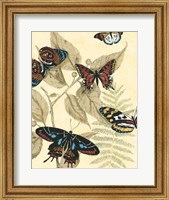 Graphic Butterflies in Nature II Fine Art Print