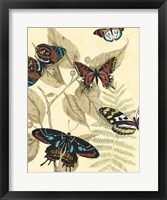 Graphic Butterflies in Nature II Fine Art Print
