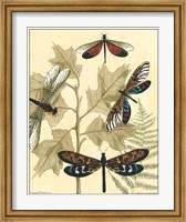Graphic Dragonflies in Nature I Fine Art Print
