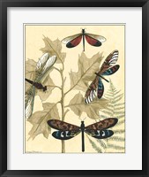 Graphic Dragonflies in Nature I Fine Art Print