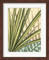 Tropical Shade II Fine Art Print