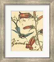 Hummingbird Reverie I Fine Art Print